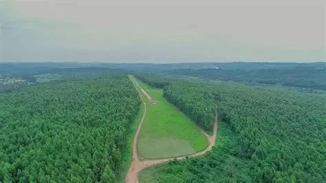 Aerial view of Sao Hill Forest Reserve near Mafinga, Tanzania